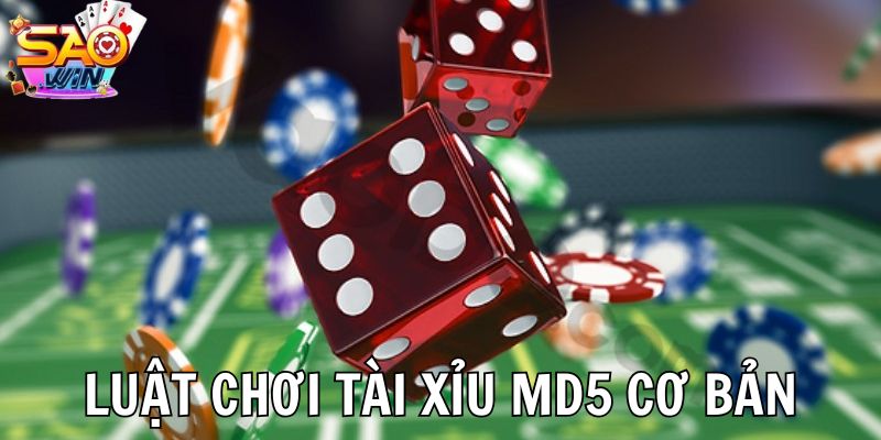 Chi tiết luật chơi tài xỉu MD5 cho tân thủ